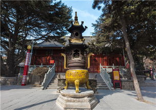 中国帆船之都 青岛有哪些名胜古迹