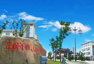 双凤羊肉爊鸡爆香来袭 冬日美食的暖心盛宴