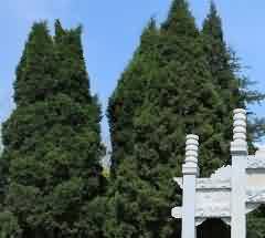 双凤纪念园 公墓建设管理水平的现代典范