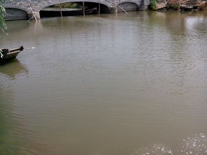 双凤生态园5月24日加鱼图片回顾