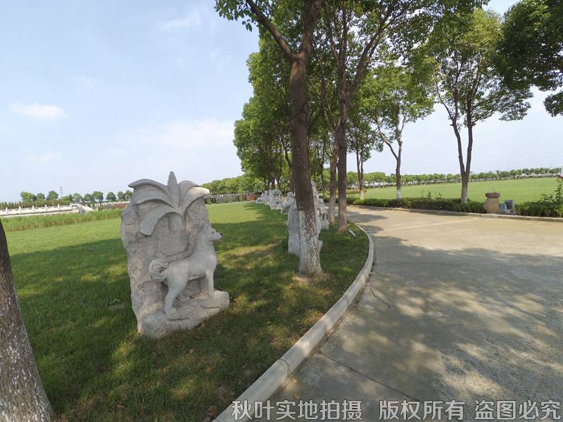 秋叶网下的思念 双凤纪念园景观探访